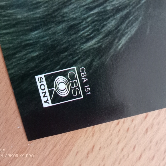 CBS Vinyl Chinese with FREE poster - Picture 15 of 16